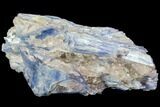 Vibrant Blue Kyanite Crystal - Brazil #80376-1